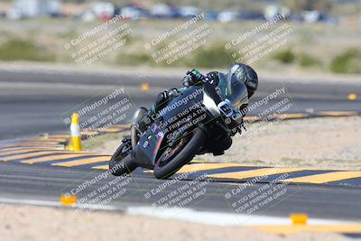 media/Mar-10-2024-SoCal Trackdays (Sun) [[6228d7c590]]/5-Turn 11 (11am)/